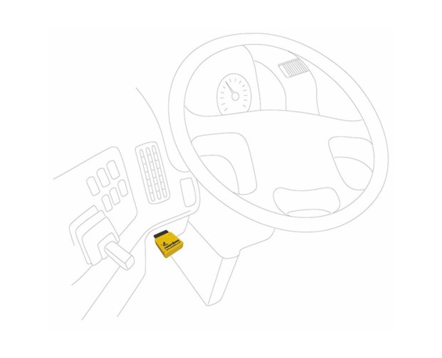 Pallet and Machinery Tag
