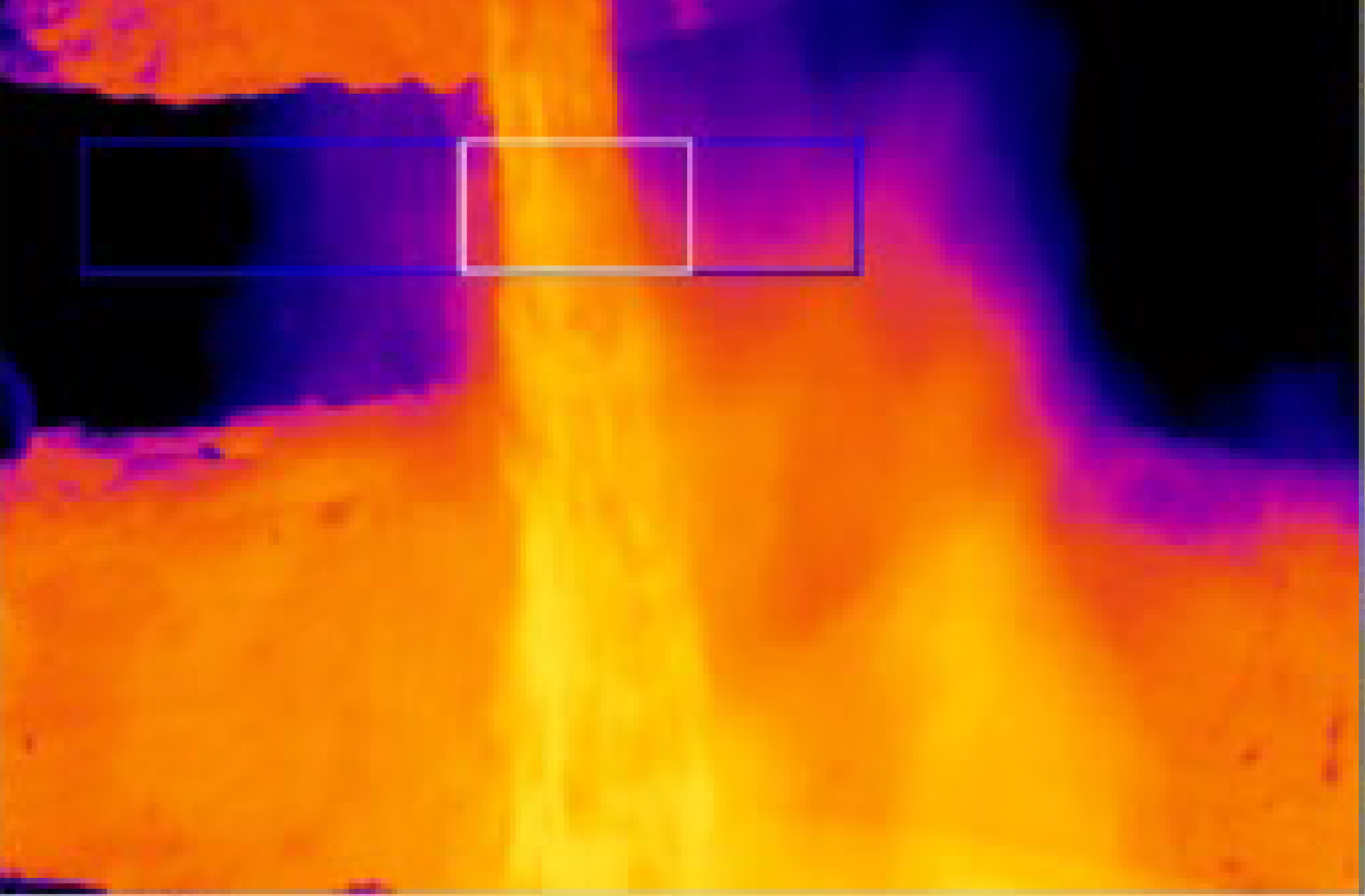 The raw image from the infrared camera